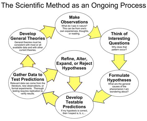 testing phenomenon explained